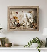 Côn Trùng mẫu hộp Bóng khung hộp Bóng khung hiển thị với Acrylic Bóng hộp khung hiển thị trường hợp mở trên mặt trước cho vỏ - Product Image 5