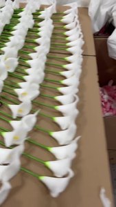 Chất Lượng Cao Duy Nhất <span class=keywords><strong>Calla</strong></span> Lily Hoa Phong Cách Hiện Đại Nhiều Màu Nhân Tạo Tulip Hot Bán Cho Tốt Nghiệp - Product Image 2