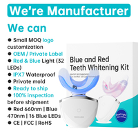 Kit de Blanchiment Dentaire LED Rouge et Bleu OEM, Soin des Gencives à Lumière Bleue, Kit Dentaire Domestique USB-C pour Dents Sensibles, Blanchiment Efficace