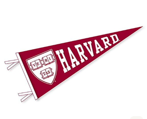 Best Quality Customizable Portable Digital Printing University Felt Triangle <b>Banners</b> - Product Image 6