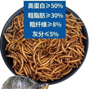 Gusanos de harina secos 300g, alimento para tortugas y peces con alto contenido proteico, snacks para reptiles y mascotas - Product Image 1