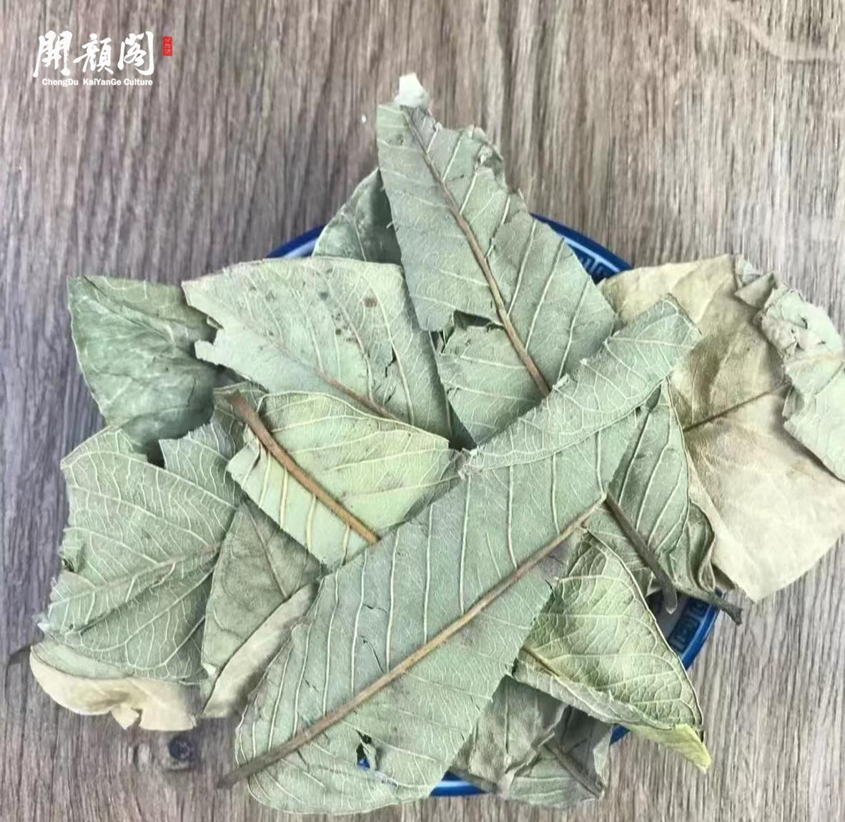 FAN SHI LIU YE bulk wholesale good quality Best Price dried Guava Leaf Tea Hypoglycemic HERBAL Tea Dried Guava Leaves Health