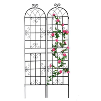Support de fleurs de jardin avec revêtement en poudre, structure métallique à double arche, treillis pour roses, arche de jardin DIY pour plantes grimpantes