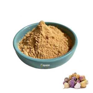 Proveedor de Fábrica Ciyuan, Venta al por Mayor de Extracto de Raíz <span class=keywords><strong>en</strong></span> <span class=keywords><strong>Polvo</strong></span> (Lepidium Meyenii), Extracto Herbal con Certificación ISO, Envasado al Vacío <span class=keywords><strong>en</strong></span> Tambor - Product Image 1