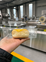 Máquina Automática para Termoformado y Envasado de Pan con Sistema MAP de Llenado de Nitrógeno