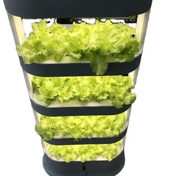 Kit di sistema idroponico per la casa automatica migliori sistemi di coltivazione idroponica interna a 4 strati con sistema idroponico verticale per piante a foglia lattuga