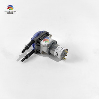 Pompe d'alimentation en encre péristaltique HAP HPX1-2-6TL-24Y de haute qualité, mini pompe à encre, WPX1, spécialement conçue pour l'impression numérique