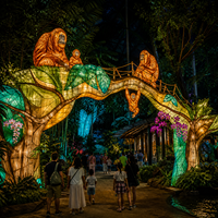 Spectacle de lumière commercial au zoo avec des expositions de lanternes sur le thème de la faune et des expériences interactives pour les visiteurs