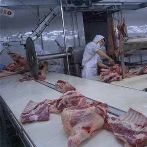 Equipo Completo para Matadero de Cerdos para Procesamiento de Carne de Cerdo en Mataderos - Product Image 6