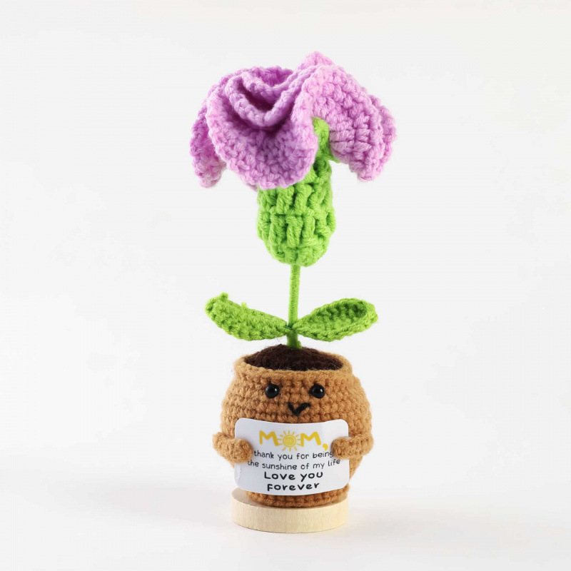 Carnation pourpre