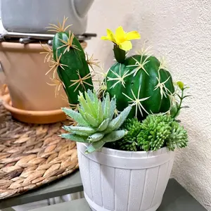 Plantas artificiais de cactos em vasos de cerâmica, pequenos conjuntos de plantas artificiais para decoração de ambientes, escritórios e casas, plantas de interior