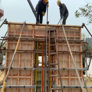 Encofrado de Plástico ABS Reutilizable Personalizado a Precio de Fábrica, de Alta Eficiencia para la Construcción - Product Image 3