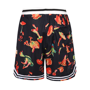 Pantalones Cortos de Baloncesto para Hombre, Tendencia 2026, Venta al Por Mayor, Personalización de Marca, Fábrica de Ropa Deportiva Profesional - Product Image 6