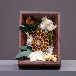 LANJO Marco de Micro Paisaje con Flor Preservada y Piedra Natural Tallada, Fósil de Concha, Adorno de Arte Mural DIY para el Hogar - Product Image 2