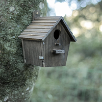 Nichoir pour oiseaux en bois de paulownia coloré style DIY fait à la main avec éclairage pour petits oiseaux Cage suspendue Décoration de jardin extérieur
