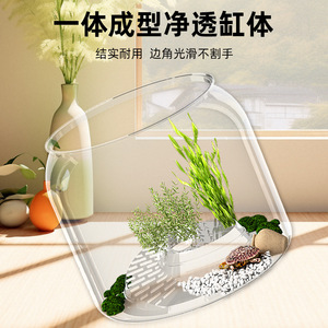 Terrario Ecológico de Escritorio para Tortugas, Transparente, Reforzado, Anti-Impactos, con Plantas y Grava para Decoración del Hogar - Product Image 4