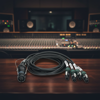 Câble Répartiteur Audio Professionnel 8 Broches PA-COM Mâle vers Quad NL4 pour Haut-Parleur, Adaptateur Audio 4 Voies avec Garantie de 3 Mois