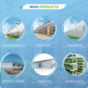 Serra moderna del tunnel del bordo del pc di coltivazione del fungo isolata doppio arco dell'azienda agricola di MYXL - Product Image 6