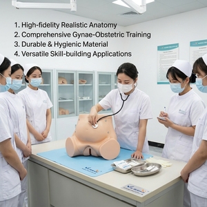 Manichino per Addestramento Ostetrico Completo, Modello di Simulazione del Parto per l'Insegnamento della Ostetricia CE/ISO/ROHS/CNAS - Product Image 1