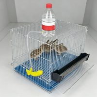 Producción Comercial de Huevos que Apoya las Razas de Codornices, Loros, Palomas, Pichones y Gallinas Rústicas