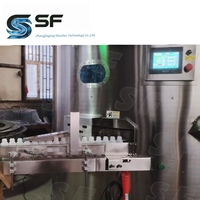 Ligne de tri et d'agencement de bouteilles ShouFan entièrement automatisée par PLC - Anti-vibrations, faible bruit, entretien simple, pour film, bois, PET, verre