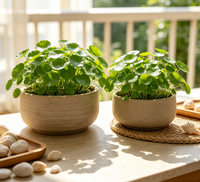 Vase de table d'extérieur en grès Art Déco avec glaçure craquelée pour plantes