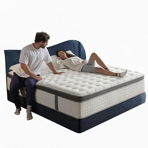 Luxury Hotel Series Pocket Spring Breathable Euro Top Hybrid <b>Mattress</b> Design-Medium 10-12 Inch Thickness Home Furniture - Product Image 1