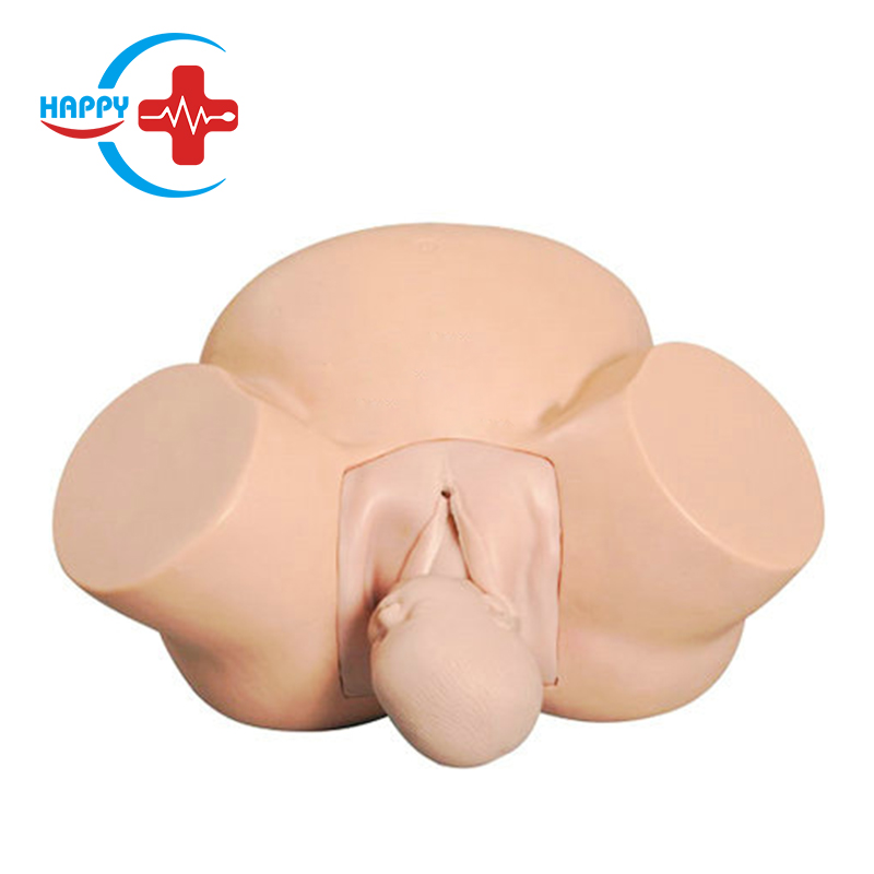 HC-S307 Medical Science Teaching Manikin Advanced Midwifery Training Model Obstetric Labor And Midwifery Training Model