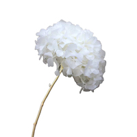 Hydrangea alami disiapkan burgundy hydrangea asli diawetkan bayi segar merah muda kualitas tinggi hydrangeas untuk acara pernikahan dekorasi