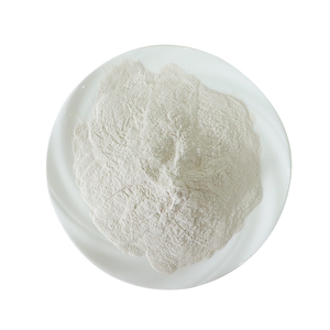 Polvo de Hongo Poria Cocos (Fu Ling) Premium, Superalimento para la Calma y el Bienestar, Agregar a Smoothies y Repostería Saludable - Product Image 2