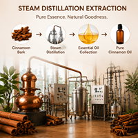 Huile essentielle de cannelle 100% pure et naturelle, en vrac, biologique, distillée à la vapeur, écologique, pour aromathérapie et arôme alimentaire naturel