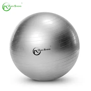 ZhenSheng Supplier Custom Stability Exercise Balls Gymnastic Yoga Ball PVC Pilates Ball
