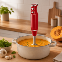 Homedaily Mixeur Plongeant 2-en-1 en Acier Inoxydable, Robot Culinaire Portable pour Smoothies et Sauces