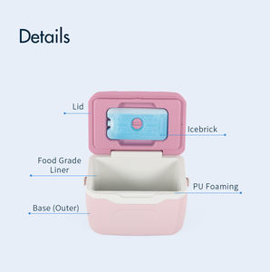 Glacière rigide légère 5,5L 10L 20L Facile à transporter avec poignée pour les activités de plein air et les barbecues - Product Image 5