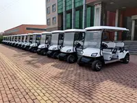 WELIFT - Small Electric Golf Cart, Push Cart, Pull Cart