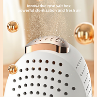 2024 chauffe-chaussures de voyage à domicile synchronisation intelligente stérilisateur de botte portable pliable avec sèche-chaussures électrique