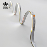 Bande lumineuse LED Raymates COB LED Side View 420 puces/m SPI WS2811 Blanc chaud 2700K 10W/m PCB 10mm DC12V UL
