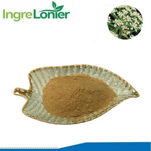 Puur Natuurlijke Food Grade Qianghuo <span class=keywords><strong>Notopterygium</strong></span> Incisum Wortel & Wortelstok <span class=keywords><strong>Extract</strong></span> Poeder - Product Image 2