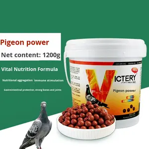 Píldoras de Nutrición para <span class=keywords><strong>Palomas</strong></span> Jóvenes, Vitalidad y Dominancia, Crecimiento, Desarrollo Corporal, Muda, Cría, Carreras, Hechas en China, Empaquetado en Cubo - Product Image 3