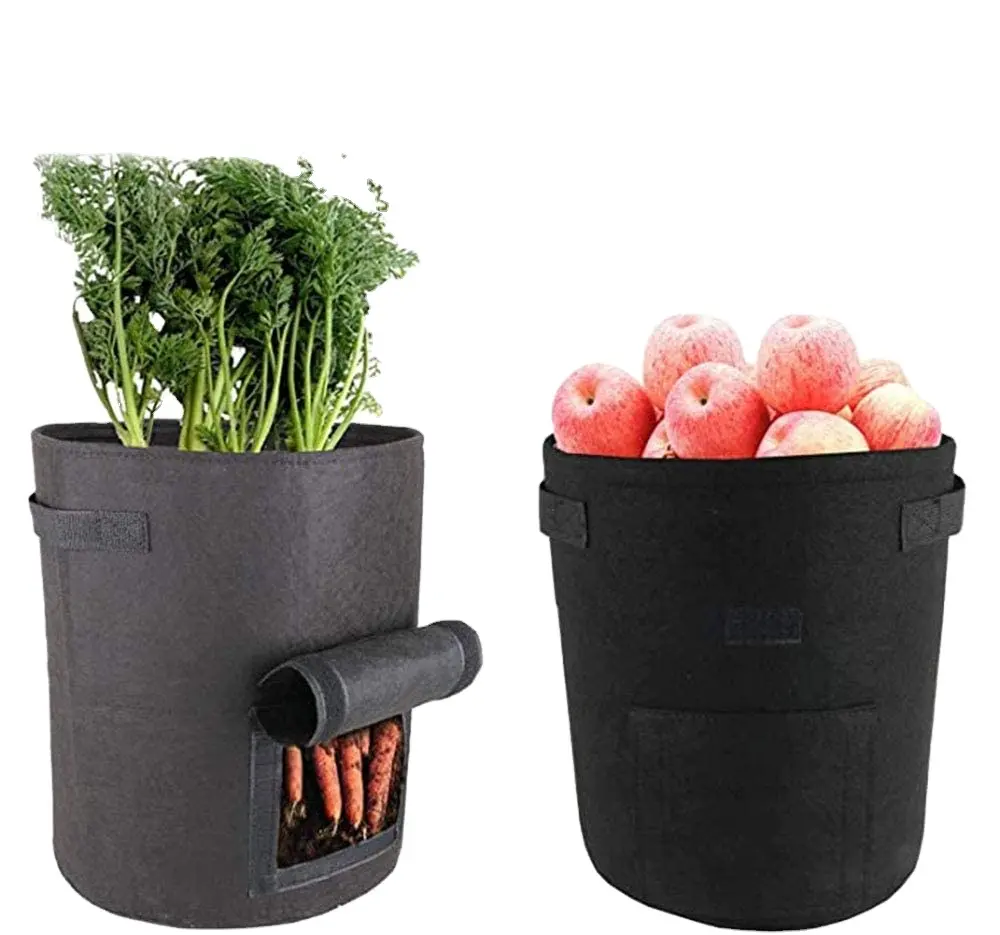 360 degree green transparent felt potato bag non-woven fabric can see through strawberry planting plant growth bag