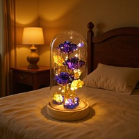 Cadeau idéal pour la Saint-Valentin, rose éternelle avec lumière LED, cadeau romantique pour une petite amie, base en bois, décoration d'intérieur