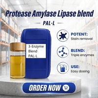 DYADI Mélange triple enzymatique PAL-L Protéase Amylase Lipase pour lessive – Élimination supérieure des taches – Matière première nettoyante
