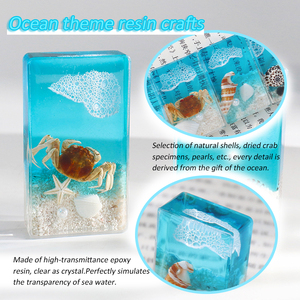 Véritable insecte coléoptère spécimen éducatif taxidermie modèle biologique résine artisanat pour aide à l'enseignement presse-papiers pour bureau salle de classe - Product Image 4