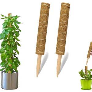 Poteau <span class=keywords><strong>en</strong></span> fibre de coco empilable pour support de Monstera, treillis d'extension pour plantes d'intérieur, piquets de jardinage avec étiquettes <span class=keywords><strong>en</strong></span> <span class=keywords><strong>bambou</strong></span> - Product Image 4