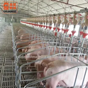 ^ 養豚場用計量ドロップフィーダーは飼料を制御できます