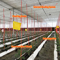 Serre tunnel horticole monocouche en film PE de grande taille, économique, en promotion, pour la culture des baies et des tomates