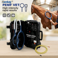 Appareil PEMF portable de haute qualité pour chevaux, améliore la flexibilité et la mobilité des articulations, dispositif de soin magnétique PEMF pour usage domestique