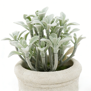 Hojas de <span class=keywords><strong>Cactus</strong></span> Suculentas Artificiales de 4 Ramas en Maceta de Pulpa de Papel con Tierra Artificial, Vegetación Artificial de <span class=keywords><strong>Cactus</strong></span> para Decoración de Escritorio de Oficina en Casa - Product Image 2