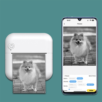 Printer Mini portabel, Printer Mini portabel cetak cepat kertas termal saku foto Panda lucu nirkabel Bluetooth rumah kantor penggunaan belajar