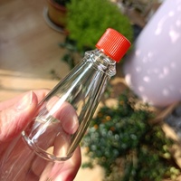 Bouteille de tabasco en verre personnalisée 3 oz bouteilles Woozy de sauce piquante en verre transparent avec bouchons en plastique PP rouge fabricant de verre